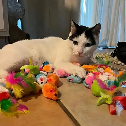Mixed Cat Toy Variety Pack – Plastic And Plush Set