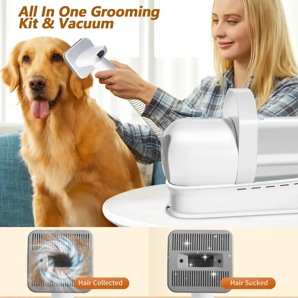 Pet Grooming Vacuum Kit 13000Pa with 1L Hair Canister